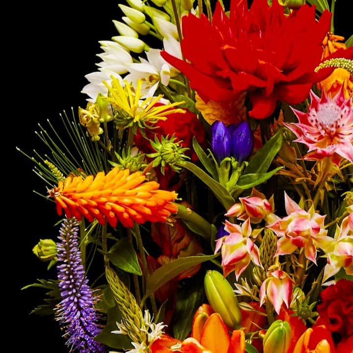 東信のインスタグラム：「Flowers #amkk #amkkproject #makotoazuma #azumamakoto #東信花樹研究所 #東信 #jardinsdesfleurs #shiinokishunsuke #flowerart #flower #flowers #timelapse #30s #30秒 #60s #60秒 #タイムラプス #花と時間  #花と祈り #生と死」