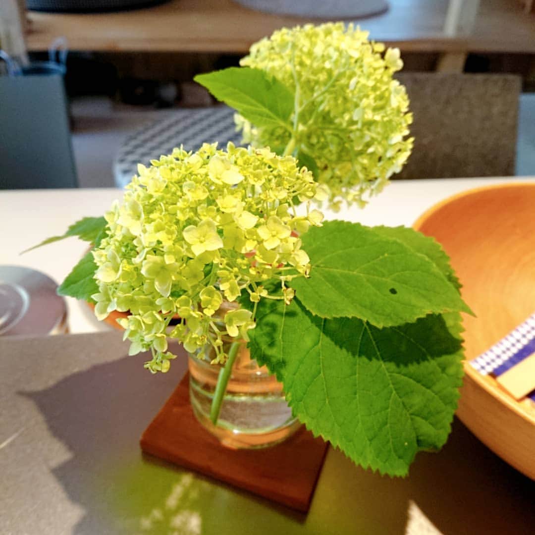 富永美樹さんのインスタグラム写真 - (富永美樹Instagram)「今日は#山梨 の家で番組の撮影…#森 にテンション上がったマネージャーちゃんがたくさん撮ってくれたので#2枚 #私服 #セルフコーデ といっても#ワンピース 着ただけですが…😅先日#一目惚れ して買った#お気に入り #庭の紫陽花 #キッチン に活けました♪」7月12日 20時46分 - miki.tominaga.official