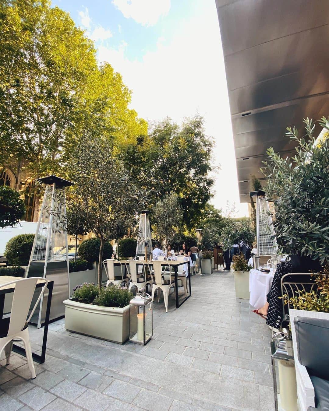@LONDON | TAG #THISISLONDONさんのインスタグラム写真 - (@LONDON | TAG #THISISLONDONInstagram)「✨A magical garden dinner at @The_Berkeley in their gorgeous socially-distanced terrace! 🌳 @MrLondon & @Alice.Sampo shared whole sea bass 🐟, tender stem broccoli 🥦 and corn 🌽, charred prawns 🍤 (UNREAL), asparagus with ricotta + honey 🍯 , grilled courgette & padrons + perfect martini 🍸 and a summer sherry fizz 🍹 !! (And we might have sneaked a limoncello 🍋 at the end! 😜🙌🏼) Add it to your list!! 👌🏼👌🏼 _____________________________________ #londonfoodies #foodiesoflondon #londonfood #londonfoodie #knightsbridge #theberkeley #thisislondon #lovelondon #london #londra #londonlife #londres #uk #visitlondon #british #🇬🇧」7月12日 20時46分 - london