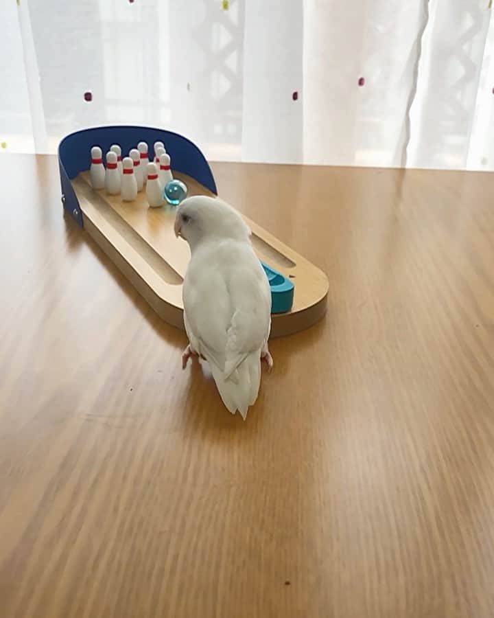 SAORIのインスタグラム
