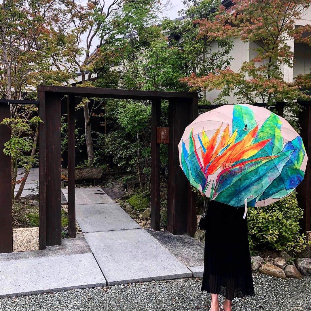 のインスタグラム：「.  極楽鳥花の柄の長傘🦜 大好きな北斎グラフィックのもの🌊 美しすぎるなぁ...  骨組みが16本もあって、グラスファイバー素材だから軽くて丈夫✌︎ 日傘も折りたたみもここので...もう虜です♡  . .  #北斎グラフィック #傘#極楽鳥花#日傘 #ストラレチア#観葉植物 #rainyday#zara#ootd #birdofparadise#umbrella」