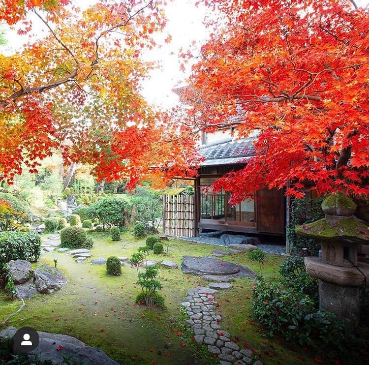 桜鶴苑のグルメインスタ