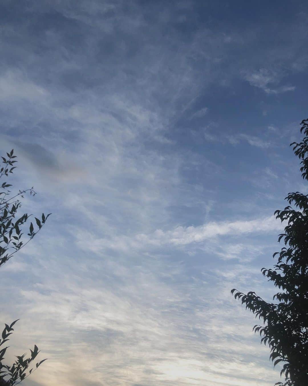 中野みやびのインスタグラム：「空  #空 #sky #綺麗 #お気に入り #picture #blue #white #木 #自然 #green #yellow #light #光 #群馬 #gunma #japan #wawawa #みやび」