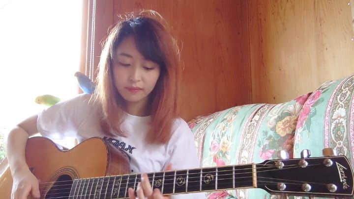 のインスタグラム：「午後のひととき🐦  この続きは忘れちゃった🎸 アコギも難しいね  Playing an acoustic guitar is difficult as well.  #ルパン三世 #ルパン三世のテーマ  #D_Drive #Yuki #acousticguitar #guitar #larrivee #弦が死んでる #lupinthethird #bird #budgerigar #セキセイインコ」