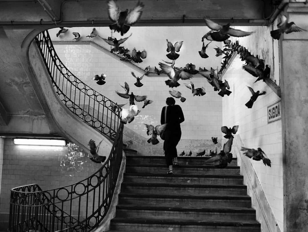 ミア・マエストロのインスタグラム：「‘in the midst of winter, I found there was, within me, an invincible summer’ Retour to Tipasa-Albert Camus 🕊 . 📷 Henri Cartier-Bresson」