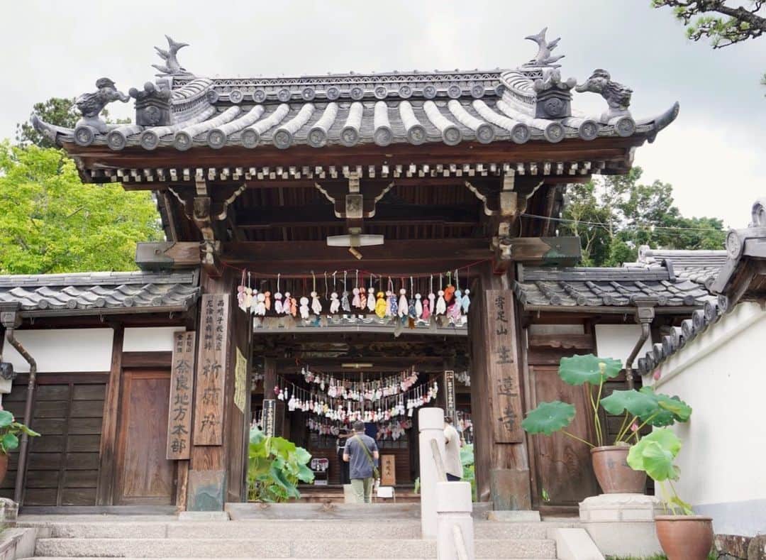小嶋晶子のインスタグラム：「Yesterday, I went to Yorasezan Shoren-ji Temple. The lotus flowers were in full bloom and really beautiful. Also, the hanging Teru Teru Bozu were really cool. "Teru teru bozu" is a doll made of white paper or cloth. In Japan, some people believe that if you hang this doll on the eaves of your house, the weather will be nice the following day. ☔️🌈☀️ てるてる坊主見たさに生蓮寺へ。ここにしかない遅咲きの蓮(生蓮寺白彼岸蓮)を見るには早過ぎるけど... 早く梅雨明けしないかなぁ。これ以上、強い雨が降り続きませんように☔️🌈☀️ #yorasezan #shorenji #shorenjitemple #teruterubozu #lotusflowers #nara #japan #寄足山 #生蓮寺 #寄足山生蓮寺 #雨晴れ地蔵のお寺 #地蔵菩薩 #高野山真言宗 #てるてる坊主 #蓮 #奈良 #日本 #🇯🇵」