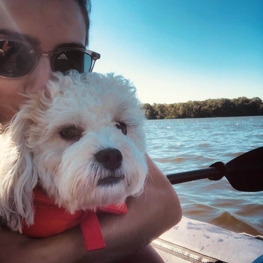 マリッサ・キャステリさんのインスタグラム写真 - (マリッサ・キャステリInstagram)「Mosby loved Kayaking! 🛶 . . . . . . #adventurepup #kayaking #barrington #rhodeisland #kayakingadventures #shichonsofinstagram」7月13日 0時26分 - marissacastelli