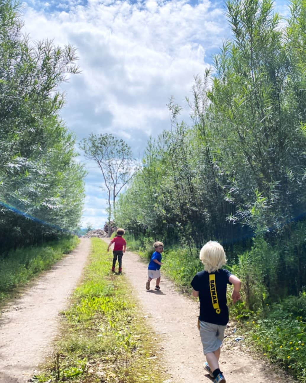 ヘレン・スケルトンさんのインスタグラム写真 - (ヘレン・スケルトンInstagram)「I love summer, and I love watching our boys playing on the paths we spent our childhoods on.... #cumbria #cousins #family #grateful #freshair #childhood #rurallife #farm」7月13日 0時57分 - helenskelton