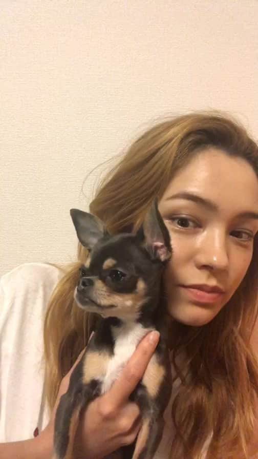 ステファニーのインスタグラム