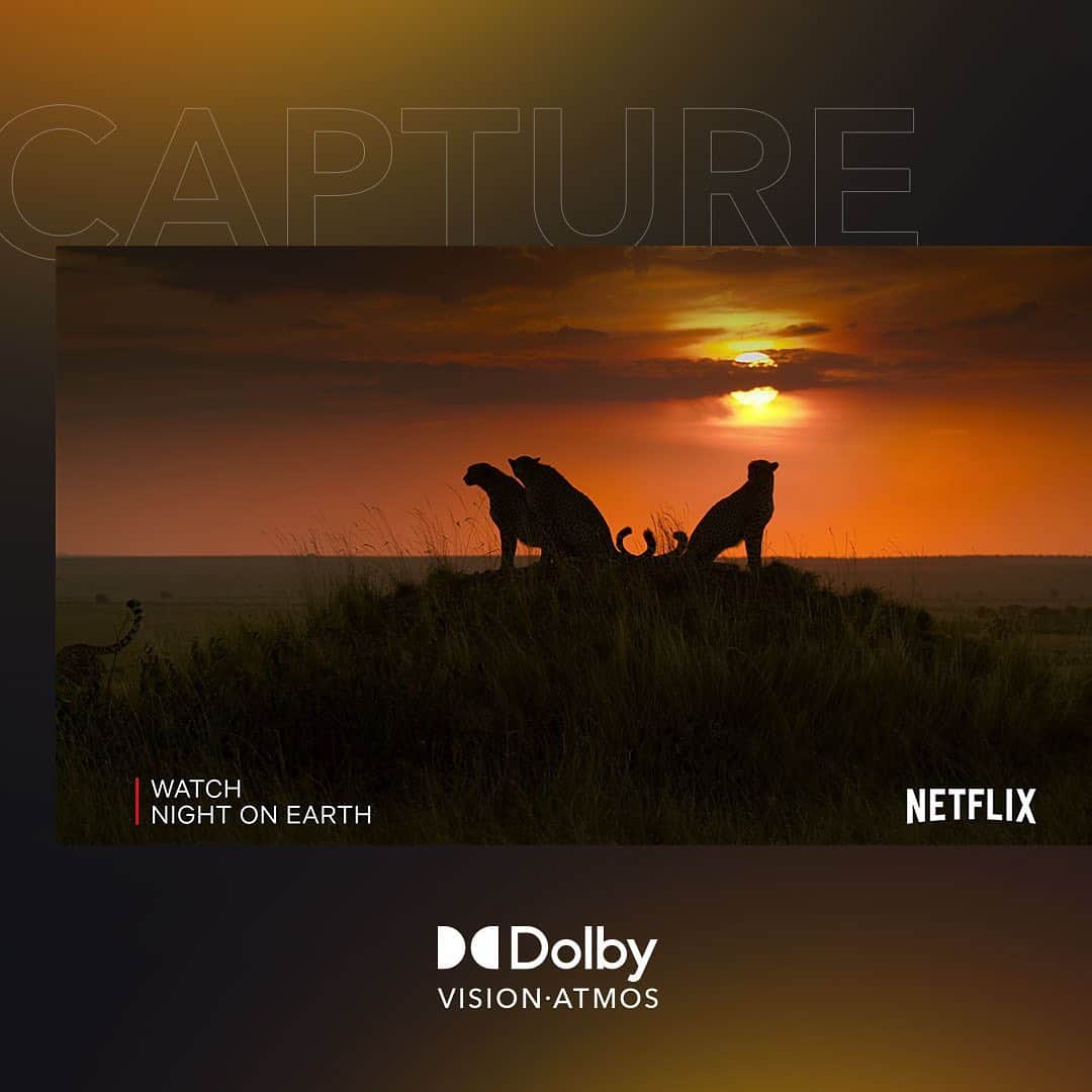 ドルビーラボラトリーズさんのインスタグラム写真 - (ドルビーラボラトリーズInstagram)「The sun going down is just the beginning. It’s #CaptureTheSunsetWeek and Night on Earth captures that, and so much more. Stream it now in Dolby Vision and Dolby Atmos* on @Netflix.⁣ ⁣ #NetflixinDolby #DolbyAtmos #DolbyVision #NightonEarth⁣ ⁣ *Device enabled with Dolby and Netflix premium subscription required」7月13日 1時28分 - dolbylabs