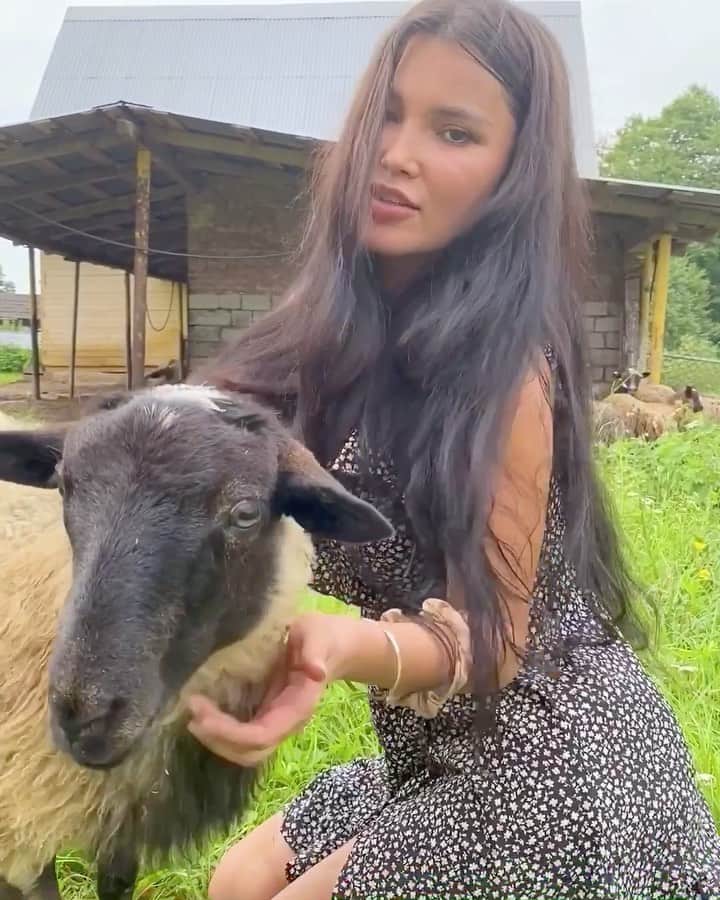 svetabilyのインスタグラム：「Please find me a village with fast wifi and no mosquitoes and i’m moving  there 💯😍🐑🐮 With @BangEnergy  Follow the inventor of Bang @BangEnergy.CEO  #BangEnergy #energydrink」