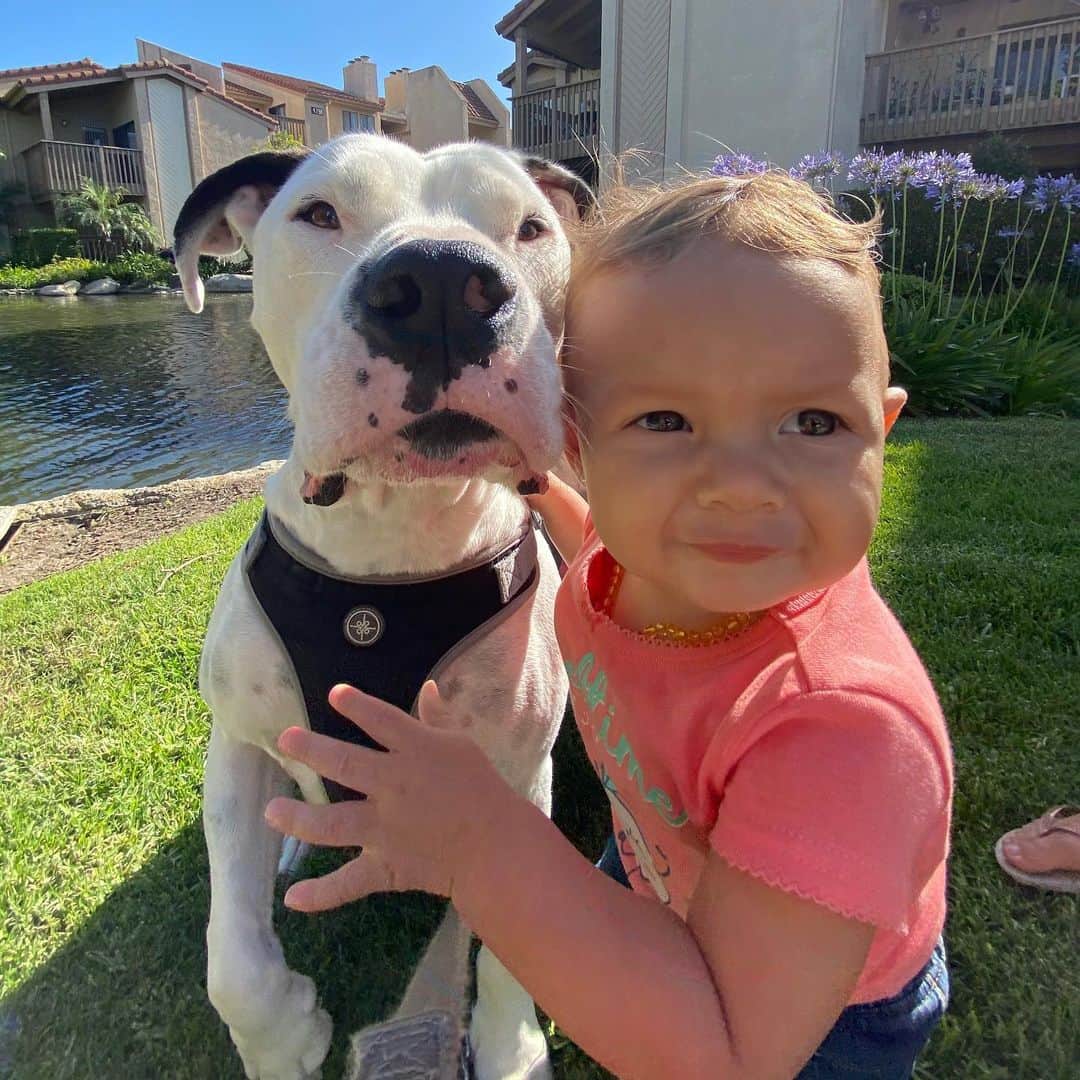 のインスタグラム：「Best friends! ❤️ @moadernsantos」