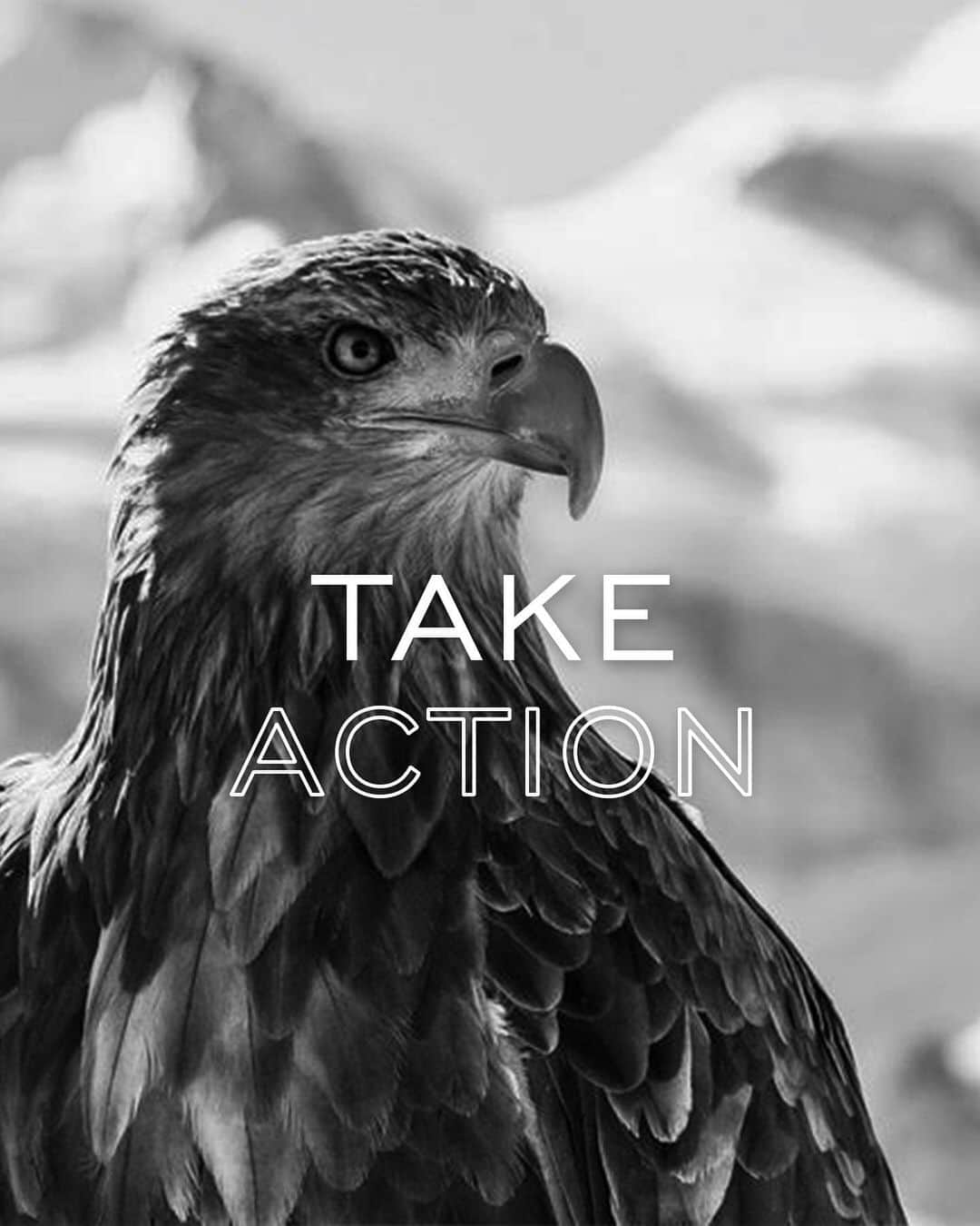 ショパールさんのインスタグラム写真 - (ショパールInstagram)「Brilliant ideas shine that much brighter with swift and collective actions. Chopard invites you to join us in our mission to protect nature and the wondrous wildlife we have the privilege to live alongside. #ChopardAlpineEagle @eaglewingsfoundation」7月13日 3時15分 - chopard