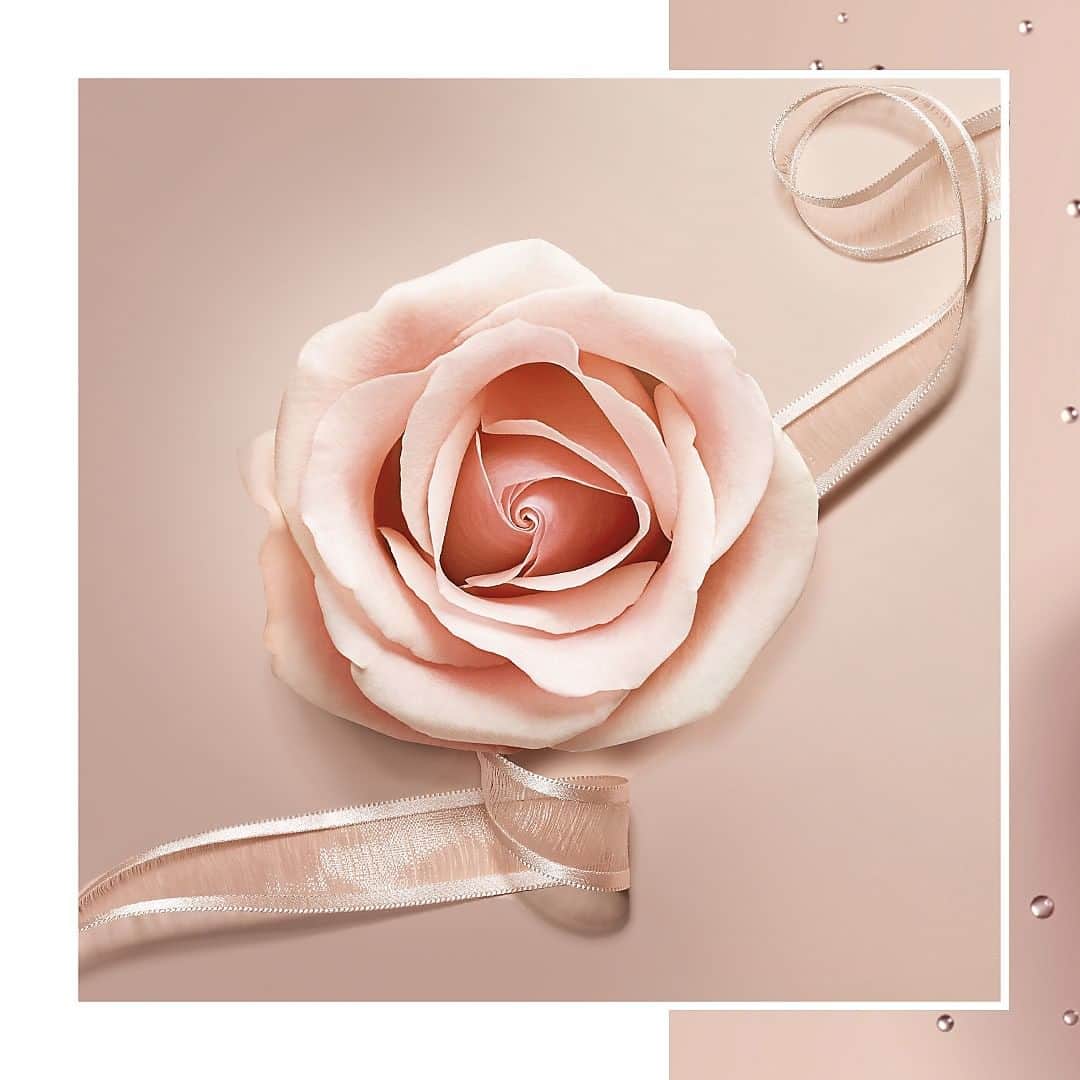 Lancôme Officialさんのインスタグラム写真 - (Lancôme OfficialInstagram)「A story of authentic passion infused with the heart of a shimmering rose, La Nuit Trésor Nude the scent of true sensual love. #Lancome #LaNuitTresor #Fragrance #lovewithnofilter」7月13日 3時58分 - lancomeofficial