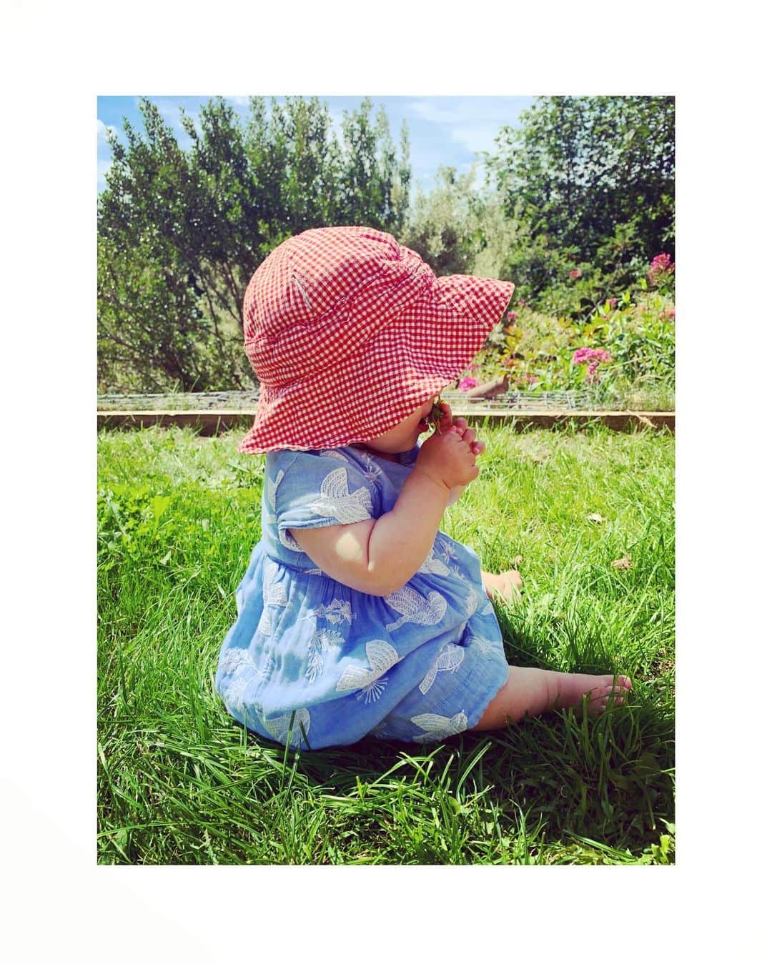 ダイアナ湯川さんのインスタグラム写真 - (ダイアナ湯川Instagram)「Lumi says life is sweet, eat the dandelions 😆 . . . . #daughter #8monthsold #mygirl #baby #blessed #happiness #love #cutie #flowers #nature」7月13日 4時48分 - diana.yukawa