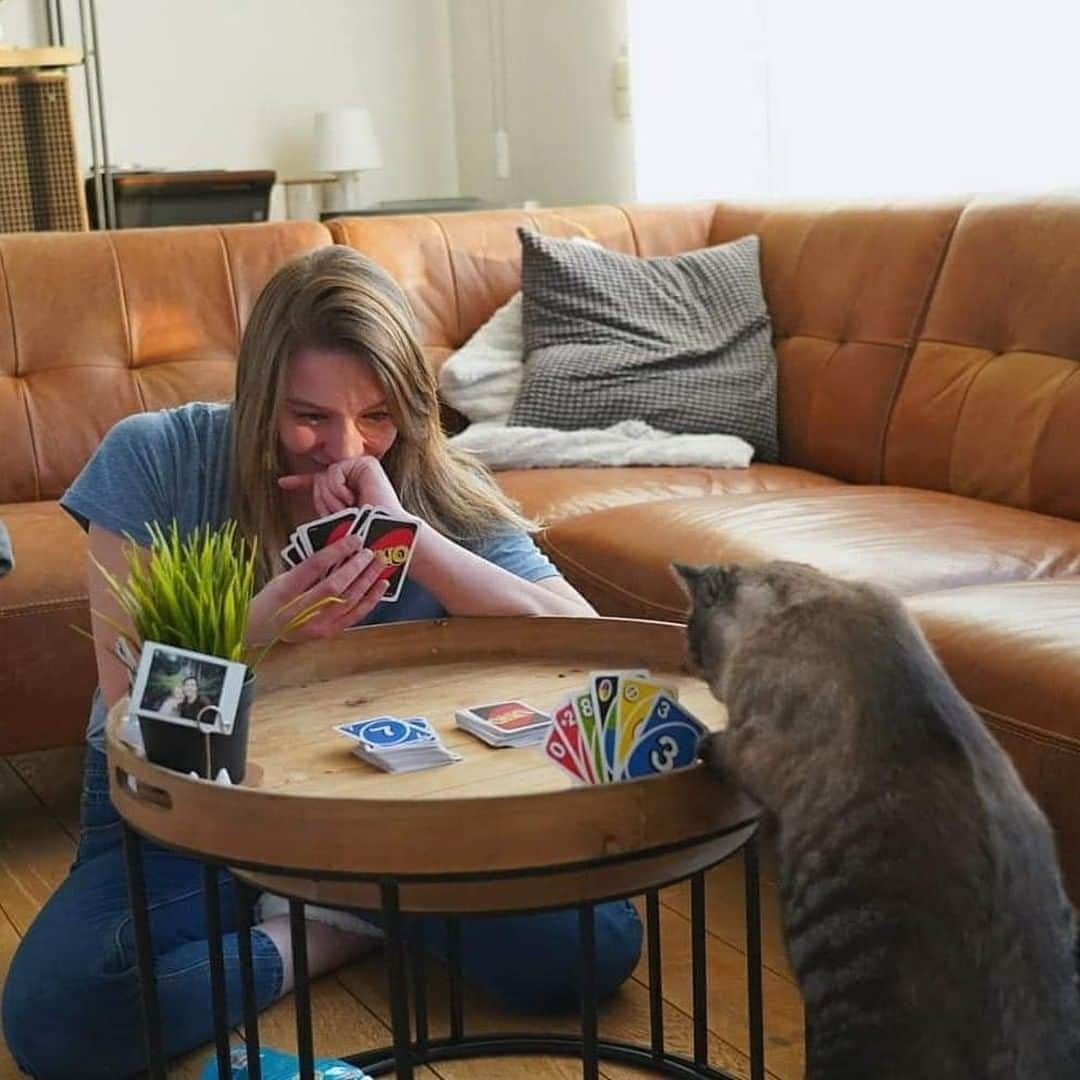 Aww Clubさんのインスタグラム写真 - (Aww ClubInstagram)「#captionthis⠀ ⠀ 📷@katjesvoordesfeer⠀ ⠀ #meowed #UNO #captionthis」7月13日 6時00分 - meowed