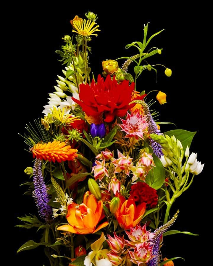 椎木俊介のインスタグラム：「Flowers  #azumamakoto #makotoazuma #shiinokishunsuke #amkk #amkkproject #flowers #flowerart #東信 #東信花樹研究所 #花  #timelapse」