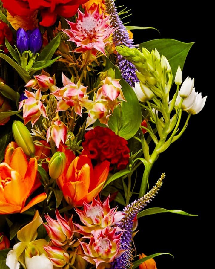 椎木俊介のインスタグラム：「Flowers  #azumamakoto #makotoazuma #shiinokishunsuke #amkk #amkkproject #flowers #flowerart #東信 #東信花樹研究所 #花  #timelapse」
