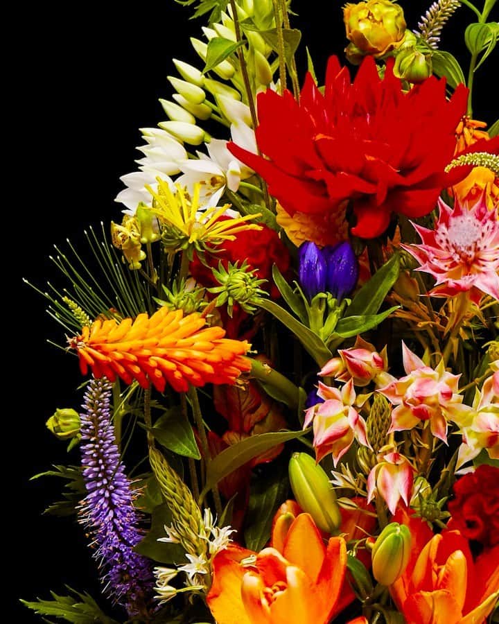 椎木俊介のインスタグラム：「Flowers  #azumamakoto #makotoazuma #shiinokishunsuke #amkk #amkkproject #flowers #flowerart #東信 #東信花樹研究所 #花  #timelapse」
