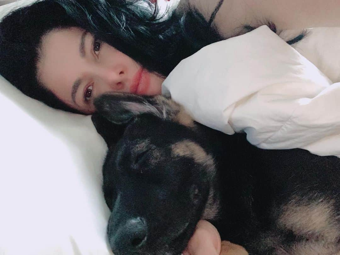 カイヤさんのインスタグラム写真 - (カイヤInstagram)「Monday Mornings 月曜日の朝 . . . . . . . . . . . #caiya #mondaymotivation #mondaymood #monday #mondaymorning #goodmorning #loveyou #mypartner #mylove #germanshepherd #puppy #lovely #cute #sleepy #joy #happiness」7月13日 6時48分 - caiya.kawasaki