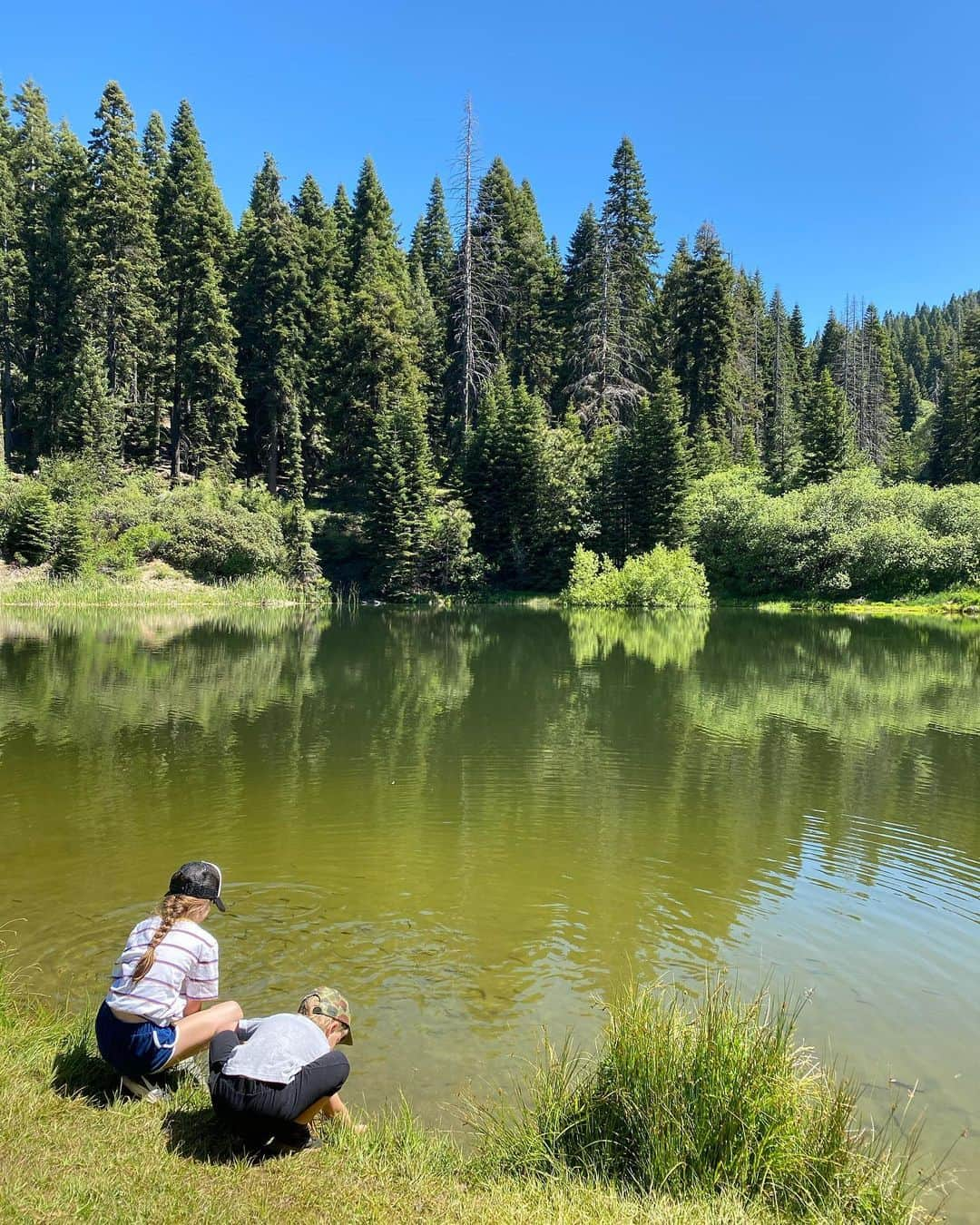 ティファニー・ティーセンさんのインスタグラム写真 - (ティファニー・ティーセンInstagram)「Missing the mountains. Will see you soon #sequoianationalpark」7月13日 6時55分 - tiffanithiessen