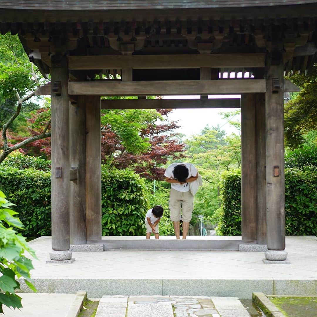前田有紀さんのインスタグラム写真 - (前田有紀Instagram)「鎌倉には、いくつか「花寺」と言われていていつの季節も花が楽しめるお寺があるのですが、先日扇ケ谷にある海蔵寺を家族で訪れました。山門をくぐるとノウゼンカズラが悠然と咲いていました。 Hanako.tokyo〈前田有紀の週末気分転"花"〉が、週末に更新されました。季節の花について綴りました。  https://hanako.tokyo/column/yuki-maeda-weekend/158926/ . . #hanakotokyo #ハナコ」7月13日 7時00分 - yukimaeda0117
