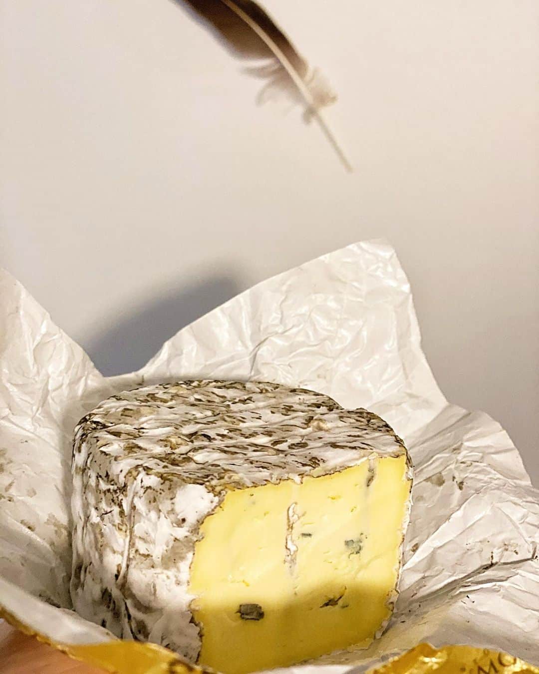 裕木奈江さんのインスタグラム写真 - (裕木奈江Instagram)「Blue cheese のビジュアルが禍々しくてつい見入る。この青い部分までもを食そうとよく決意したものだ。カビの部分はちょっと硬くてまたおいしいのだけれど。 #bluecheese #cheese #ugly #yummy」7月13日 7時07分 - nae_yuuki