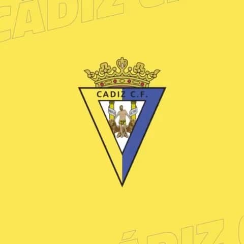 アレハンドロ・フェルナンデス・イグレシアスのインスタグラム：「LO HEMOS CONSEGUIDO!!! 💛💙 Cádiz CF te quiero!!! 😁😁😁」