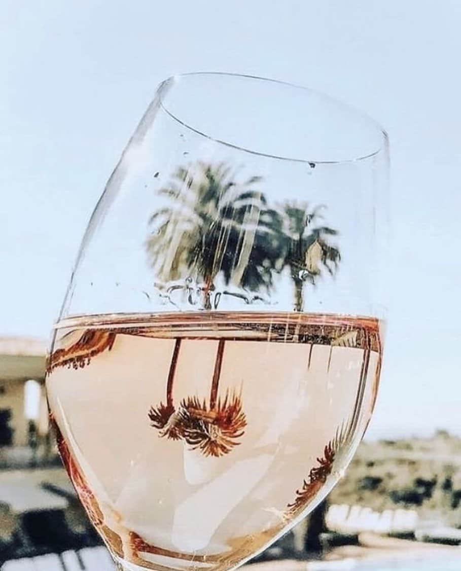 ブルーライフのインスタグラム：「California dreaming 🌴☀️🥂#shopplanetblue」