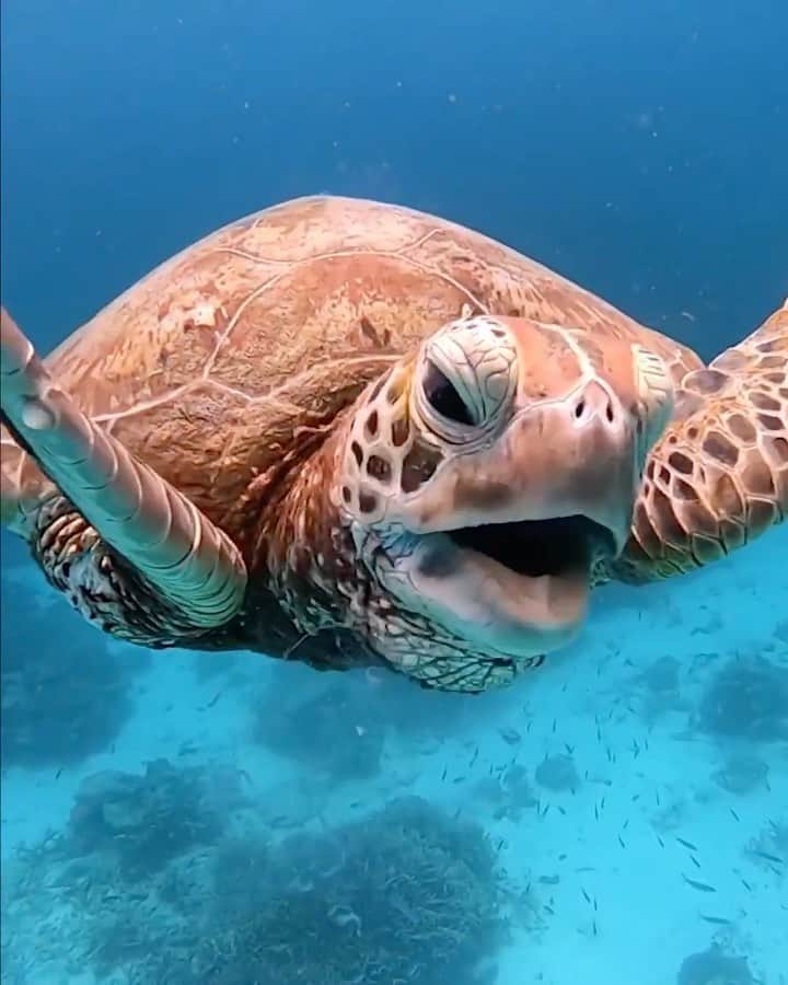 GoProのインスタグラム