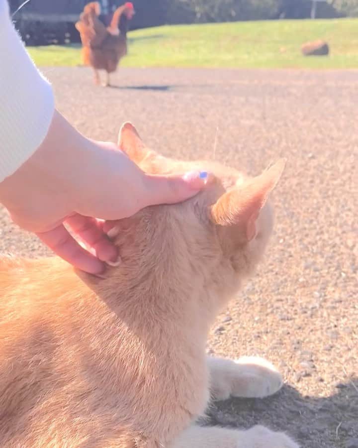ゆーちゃんのインスタグラム