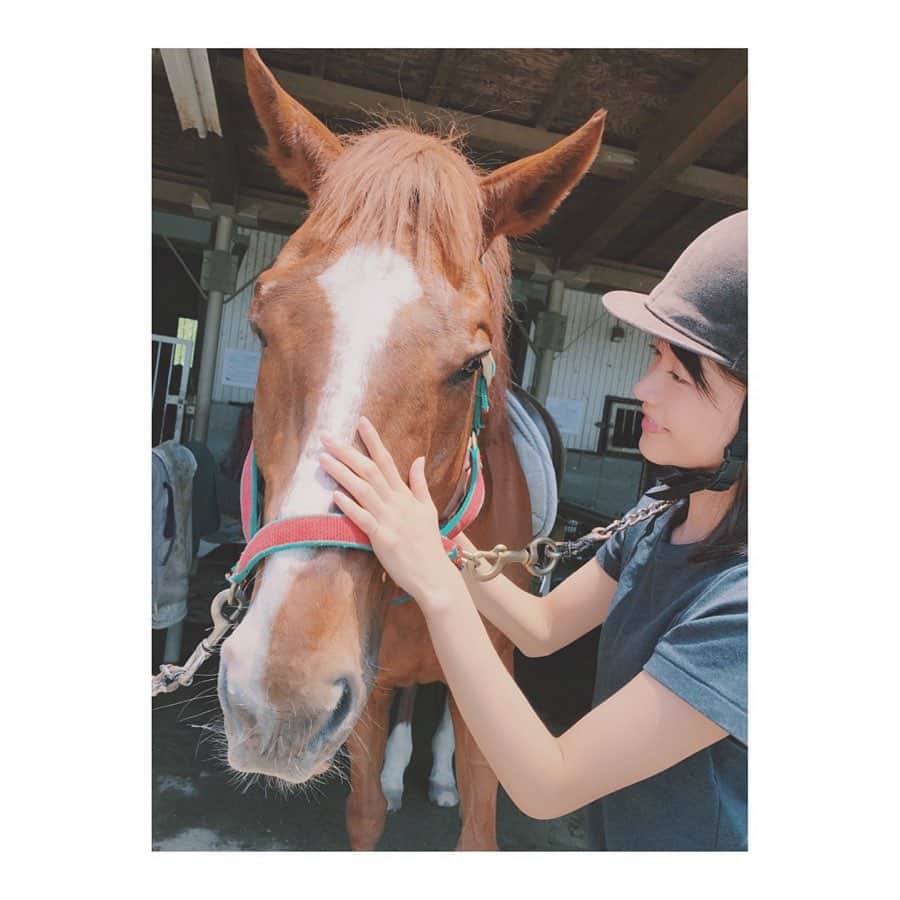 寺川里奈のインスタグラム：「人参を持っていかないと ちょっと拗ねる🐴🐴 #馬 #乗馬  #horse #horseriding #horsesofinstagram」