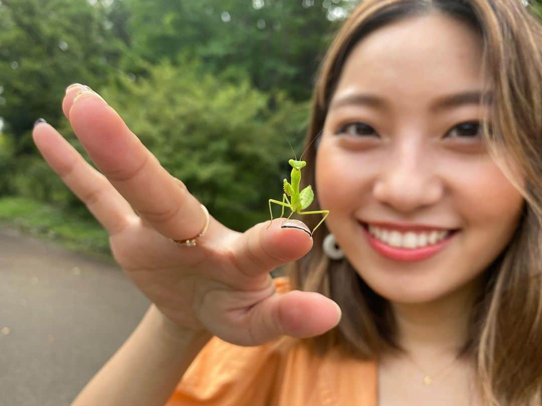 Rihwaさんのインスタグラム写真 - (RihwaInstagram)「Babyカマキリにencounter!!!!🌱💚🌎☝️ #Rihwa #love #earth #bug #bugslife  #カマキリ #mantis」7月13日 9時50分 - rihwa_official