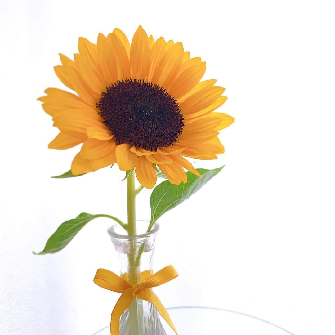 のインスタグラム：「🌻 向日葵って😊←ニコニコこんなイメージがして、元気になるお花♪😄」