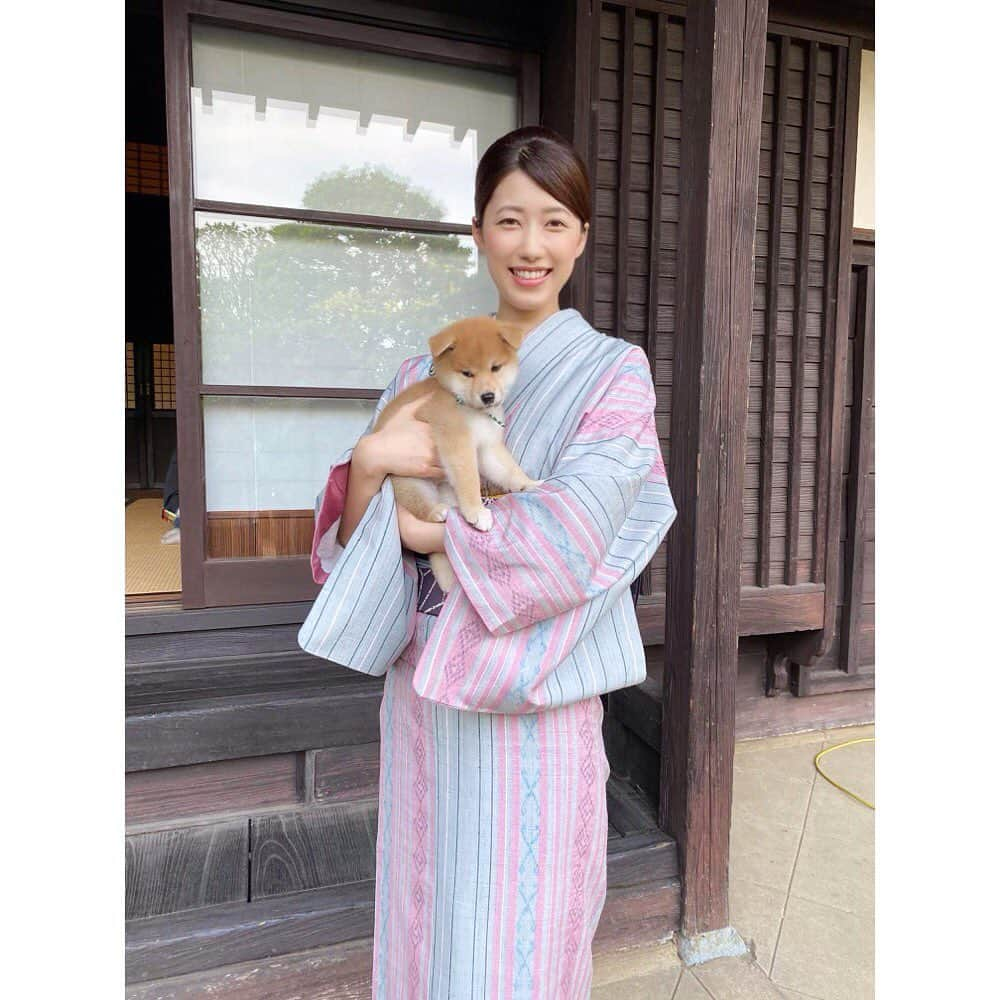 松本彩友美さんのインスタグラム写真 - (松本彩友美Instagram)「二十四代目豆助です🐕 ちょっぴり怖がりだけど、とても人懐っこくてメロメロでした。  さてさて、昨日からYouTube配信が始まりました！  豆助のニッポンっていいな。 「Mamesuke -Shiba Inu & Beauty of Japan-」  初回は加賀友禅でした。  英語ナレーションで美しい日本を紹介しております。毎週1話ずつアップされますのでお楽しみに〜  次回は津軽塗です。  #豆助のニッポンっていいな #24代目豆助 #和風総本家 #mamesuke #japan #柴犬 #shibainu #加賀友禅 #modelofficeg #モデルオフィスg #彩友美 #sayumi」7月13日 10時12分 - sayumi_g