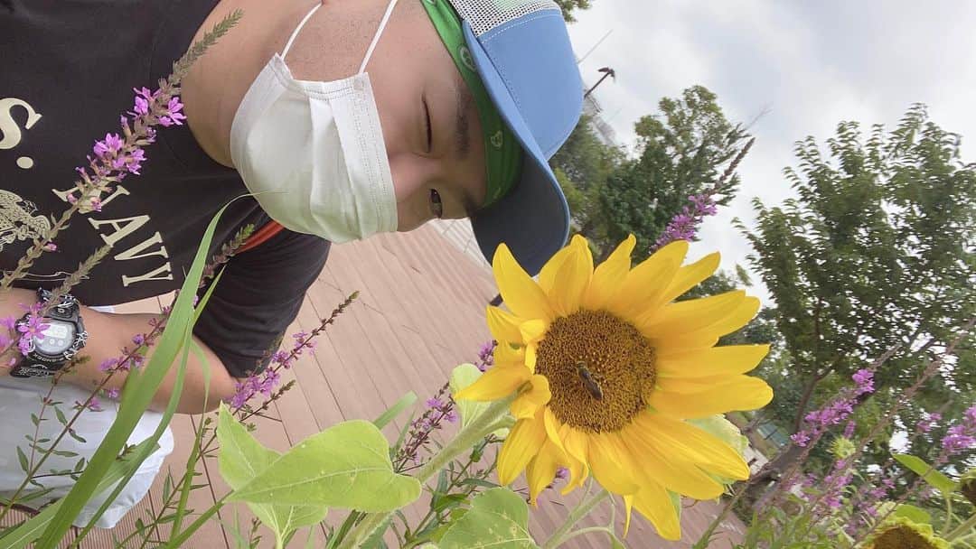 クロちゃんさんのインスタグラム写真 - (クロちゃんInstagram)「最近、クロちゃんの事を向日葵みたいな人だとか、太陽みたいな人だとか、言う人がいるけど、 パッ、お花！！」7月13日 10時38分 - kurochandesuwawa