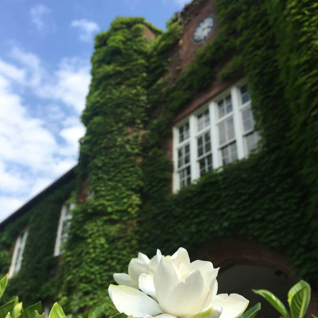 のインスタグラム：「#rikkyouniversity #立教 #立教大学 #ikebukuro #池袋 #coregraphy #photography #ファインダー越しの私の世界」