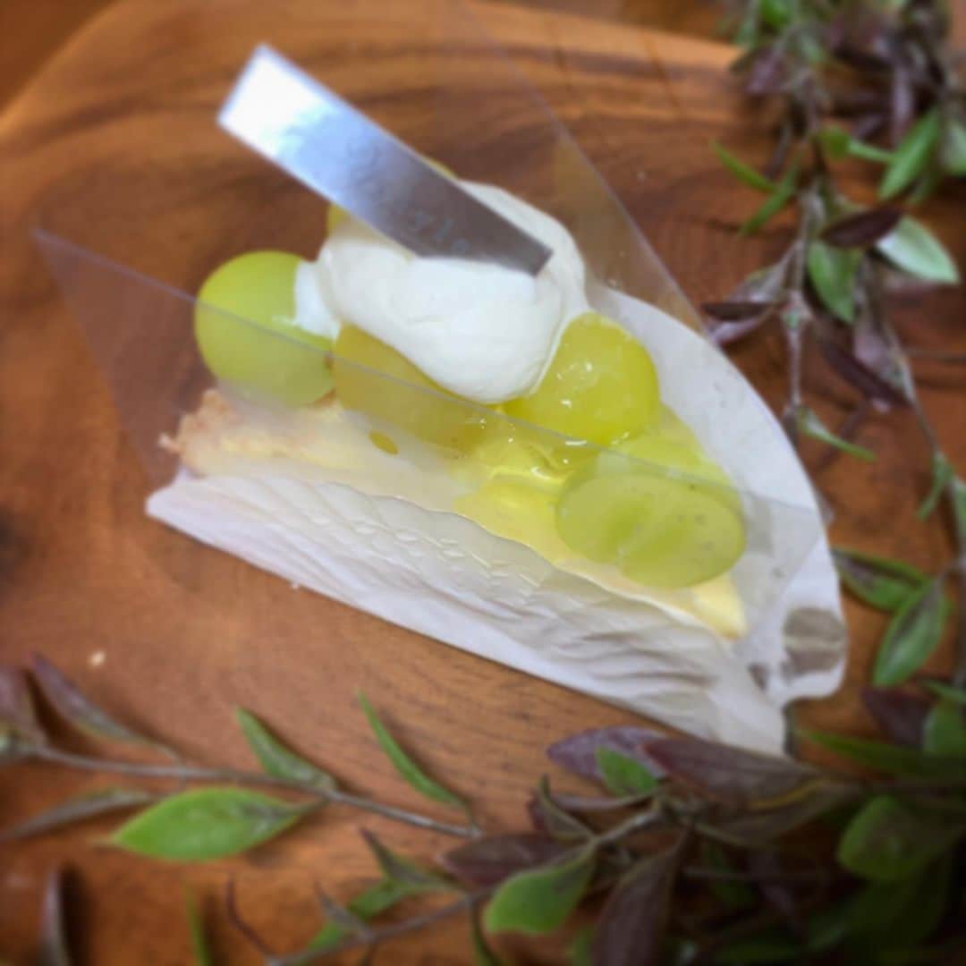 箕面 マカロン ワイスタイルのグルメインスタ