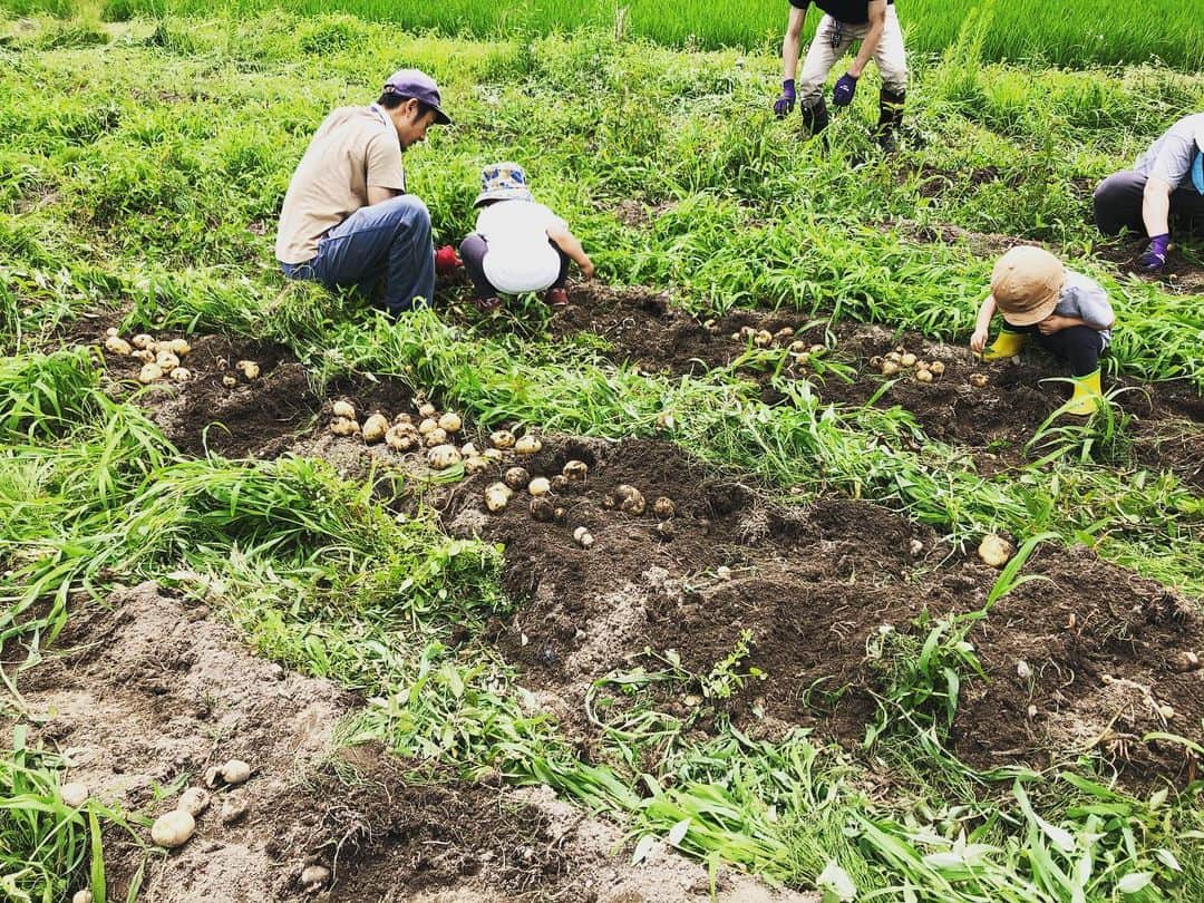 Dresscodeのインスタグラム：「3歳5ヶ月。 はじめてのじゃがいも掘り🥔」
