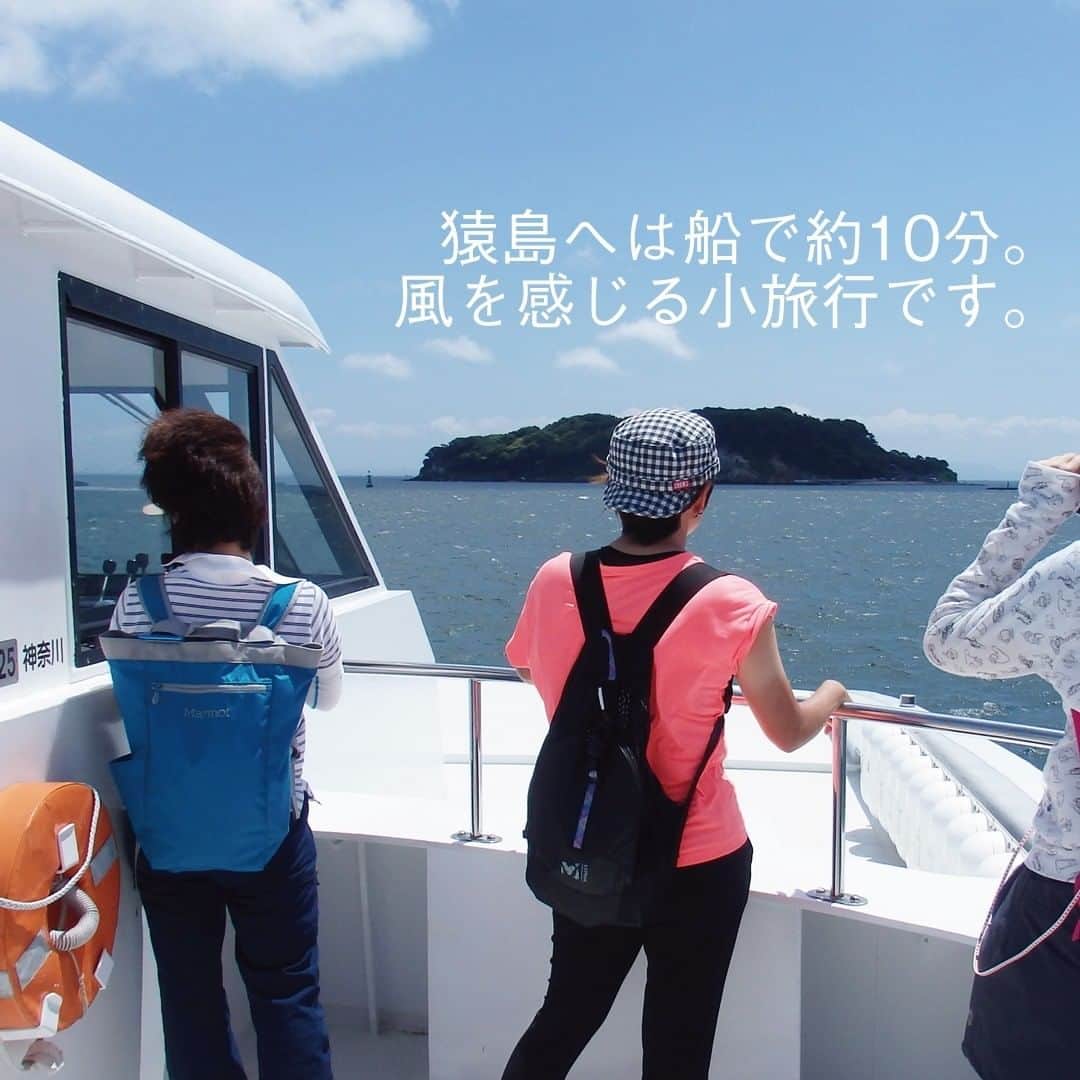 【公式】オーシャンリゾートホテル マホロバ・マインズ三浦さんのインスタグラム写真 - (【公式】オーシャンリゾートホテル マホロバ・マインズ三浦Instagram)「まるでラピュタの世界のような自然の中に突如現れる不思議な雰囲気。  東京湾に浮かぶ無人島・猿島は貴重な歴史遺産が残されています。 かつては砲台が置かれた東京湾を守る要塞の島。月日とともに自然と遺跡が融合し不思議な雰囲気を醸し出しています。 その様子がラピュタの世界のようだとフォトスポットとしても話題になっているほどです。  #海 #旅遊 #猿島 #旅行気分 #ラピュタ #無人島 #絶景ポイント #おうちで旅体験 #猿島航路 #海好きな人と繋がりたい #渡し船 #ラピュタの世界 #rakutentravel #ラピュタの島 #igで繋がる海 #フェリー #夏休み旅行計画 #船 #東京湾 #三浦半島いいところ🙌 #横須賀市 #三浦 #三浦市 #マホロバマインズ #maholovaminds #マホロバケーション #神奈川観光 #三浦半島 #マホロバ #マホロバマインズ三浦」7月13日 12時00分 - maholova_minds_miura