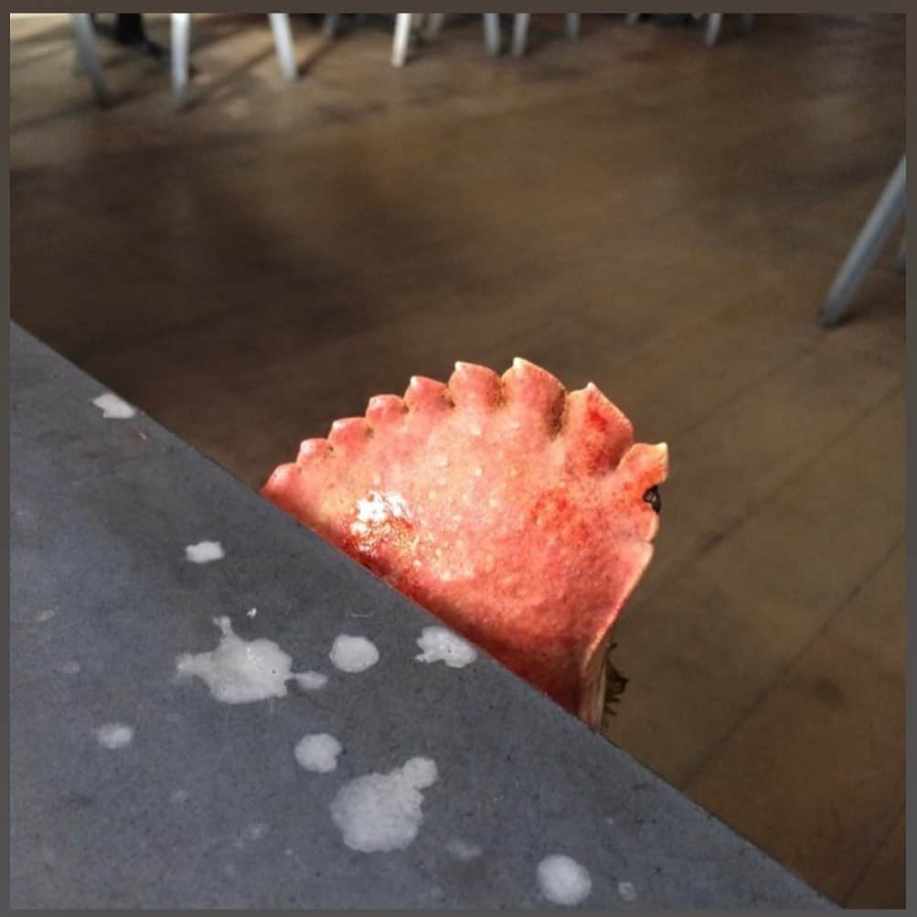 デヴィッド・スペードのインスタグラム：「Ugh! Too much sun today. My eighth toe got the worst of it.  #maize.  Ps no monologue tomro. Back thurs!」
