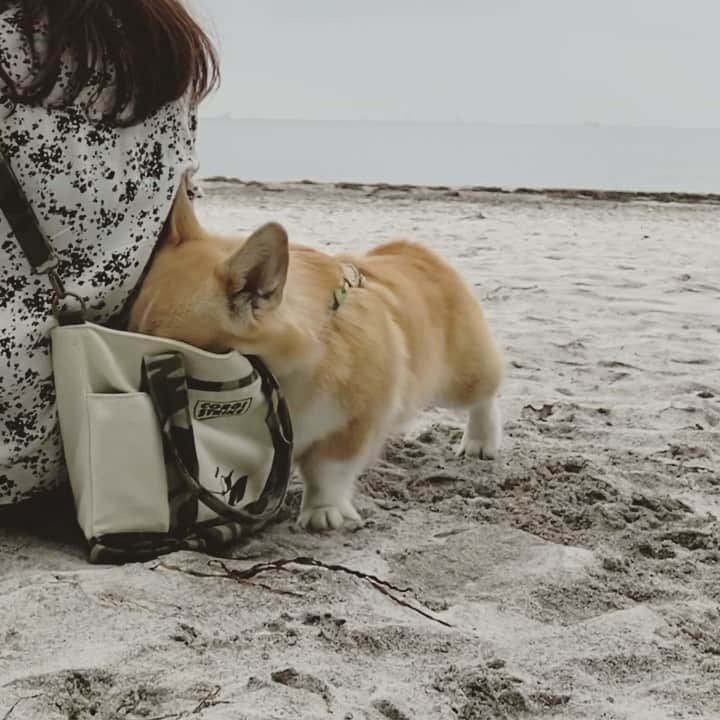 さゆりのインスタグラム