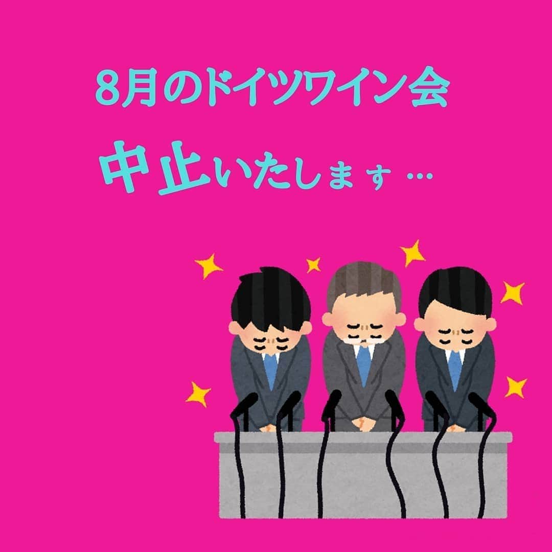 シュタインハウス新宿のグルメインスタ