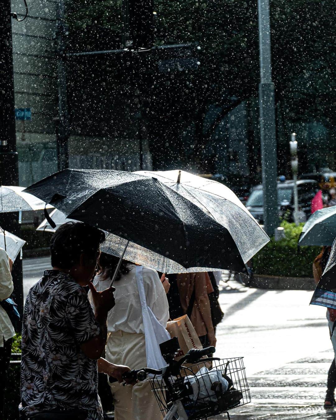 田村幸士のインスタグラム：「. 雨も地球の呼吸 Rain is also the breath of the earth.」