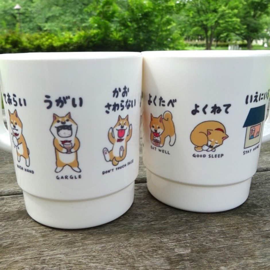 みずしな孝之のインスタグラム：「「できますムーコプラスチックマグカップ」 （あなたの宛名入りみずしな直筆サイン入りカードつき） 残り在庫が10個を切ったとのことです。 お求め予定のかたはどうぞお早めに！  http://akui1000.com/?pid=150991479  もしくは「悪意1000％」で検索してください！」