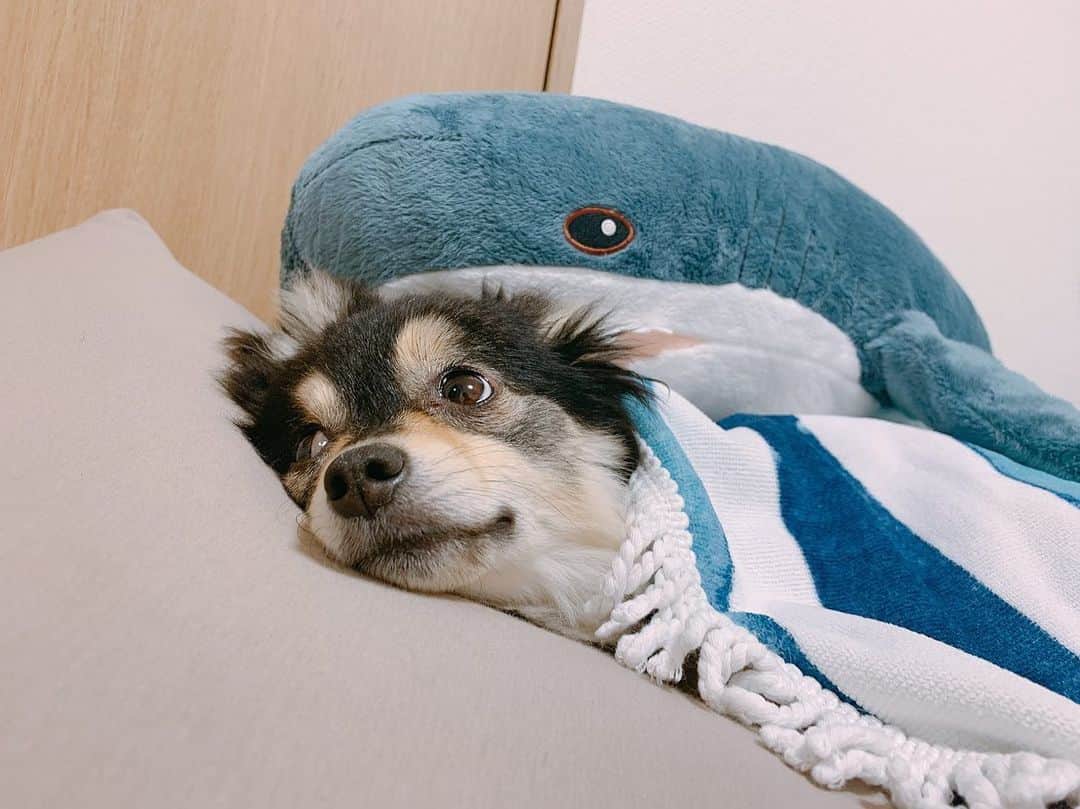 志保のインスタグラム