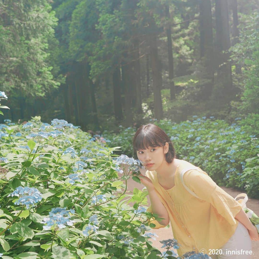 innisfree official (이니스프리) さんのインスタグラム写真 - (innisfree official (이니스프리) Instagram)「with #제주숲이야기 🌲💚 녹음이 짙게 내린 여름이면 숲과 나무, 바람이 주는 행복이 배가되는 #사려니숲길 ⠀ Innisfree with #JejuForestStory 🌲💚 When the green deepens in the summer, the forest, trees and wind offer you a greater delight Nature’s gift, #saryeoniforestpath」7月13日 15時30分 - innisfreeofficial