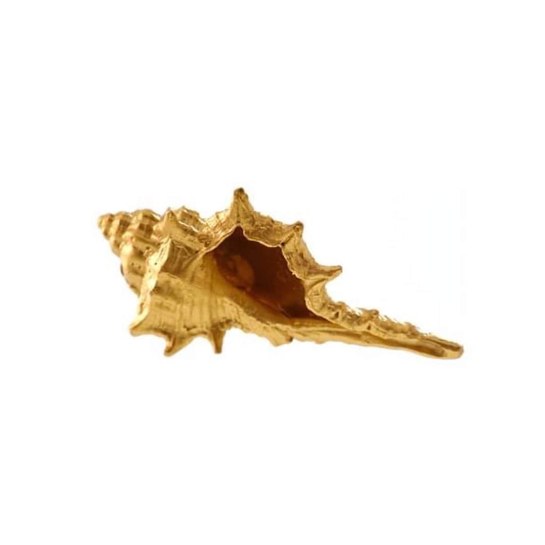 のインスタグラム：「・ 【美しいフォルムと質感、純金オブジェ「貝」🐚✨】 ・ 純金オブジェ「貝」は、 今にも波のさざめきが聞こえてきそうな、 繊細で美しいフォルム。  手に取ると純金ならではの重みも感じられます。  まるで本物のようなディティールが、 見るものを魅了し、広大な海を感じさせてくれます。  「貝」の他にも、 暮らしの中にごく当たり前に存在するものを模した、 純金オブジェをご用意いたしました。 ぜひギンザタナカのオンラインショップよりご覧ください。 オンラインショップはプロフィールのリンクよりご覧いただけます。 ・ ・ ・ ・ #GINZATANAKA #ginzatanaka #ギンザタナカ #田中貴金属 #田中貴金属ジュエリー #summer #jewelry #K18 #Pt #GOLD #Platinum #ゴールド #プラチナ #貝 #Shell #オブジェ #純金 #puregold  #サマー」