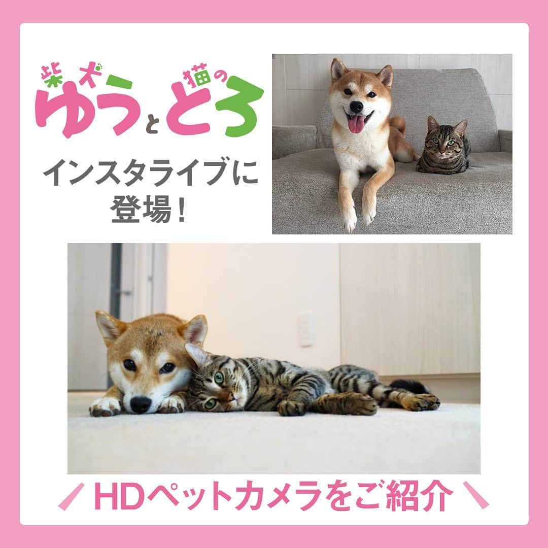 Panasonic ふだんプレミアムのインスタグラム