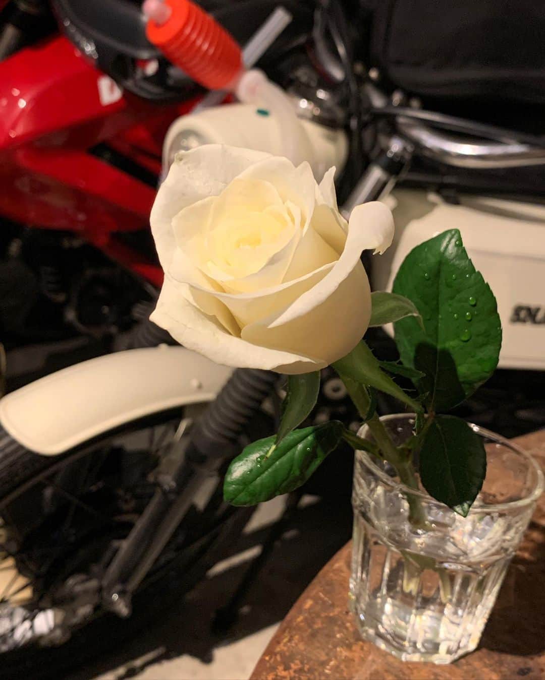 福山理子さんのインスタグラム写真 - (福山理子Instagram)「白いバラとスネモくん #白いバラ #snakemotors #motorcycle」7月13日 16時19分 - rikofukuyama